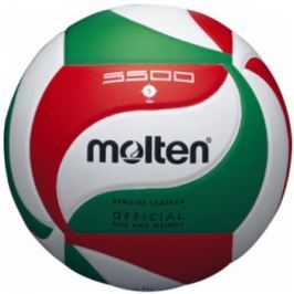 Volejbalový míč Molten V5M5500