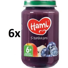 Hami Příkrm s borůvkami, 6x200g