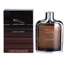 Jaguar Classic Amber toaletní voda pro muže 100 ml