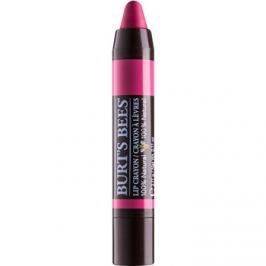 Burt’s Bees Lip Crayon rtěnka v tužce s matným efektem odstín 429 Hawaiian Smolder 3,1 g