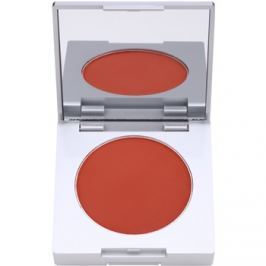 Kryolan Basic Face & Body kompaktní tvářenka se štětcem a zrcátkem odstín Shading Brown 8,5 g