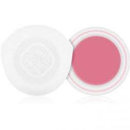 Shiseido Eyes Paperlight krémové oční stíny odstín Nobara Pink 6 g