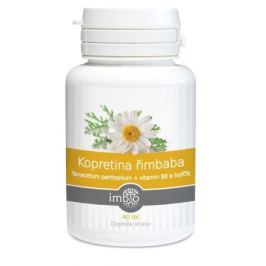 Kopretina řimbaba+vitamin B6 a hořčík