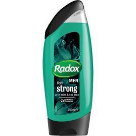 Radox Men Feel Strong Mint & Tea Tree 2v1 sprchový gel a šampon pro muže 250 ml