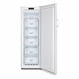 Gorenje FN4171CW